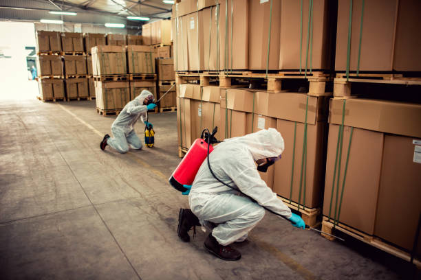 Best Pest Inspection Near Me  in Rm Beach, WA