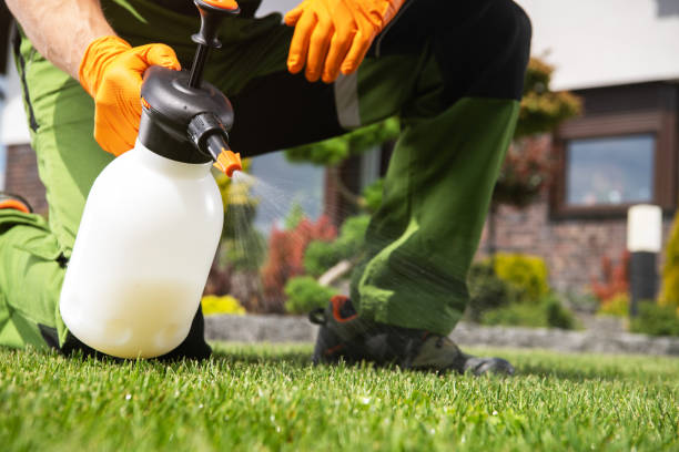 Professional Pest Control in Warm Beach, WA