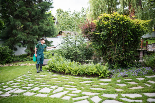 Best Residential Pest Control  in Rm Beach, WA