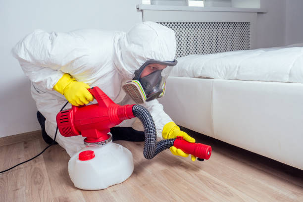 Best Affordable Pest Control Services  in Rm Beach, WA
