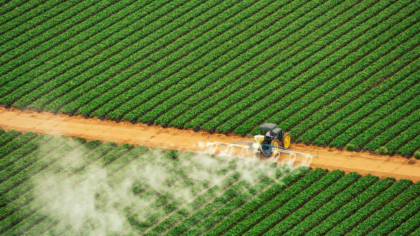 Best Mosquito Control Services  in Rm Beach, WA